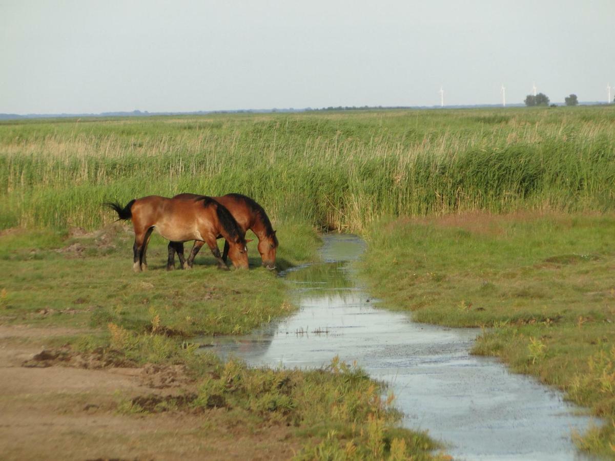 Zacisze Domki Letniskowe Karsibor Świnoujście מראה חיצוני תמונה